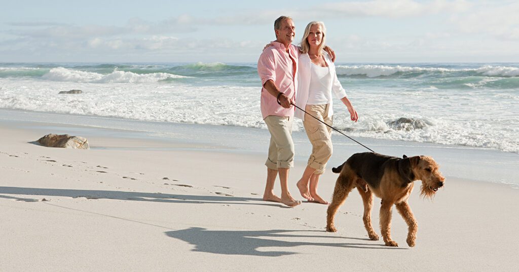 Older couple walking the dog on the beach